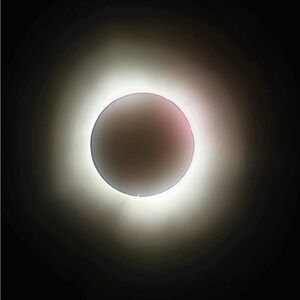 Meet your Posher, Shelby